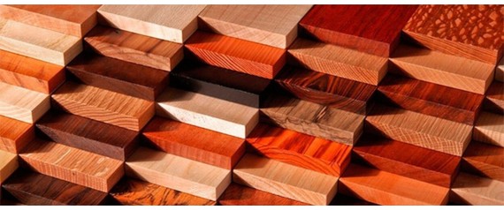 Выбор масла для древесины: руководство по типам и применению Выбор масла для древесины: руководство по типам и применению