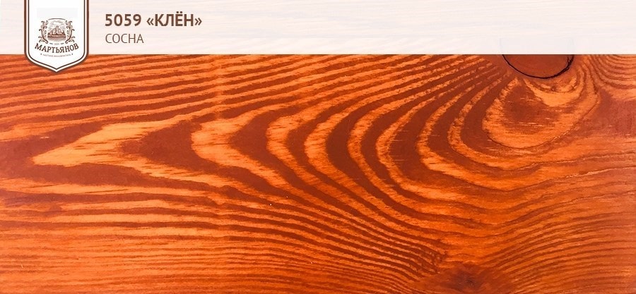 Клён на сосне