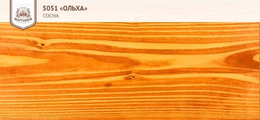 Ольха на сосне