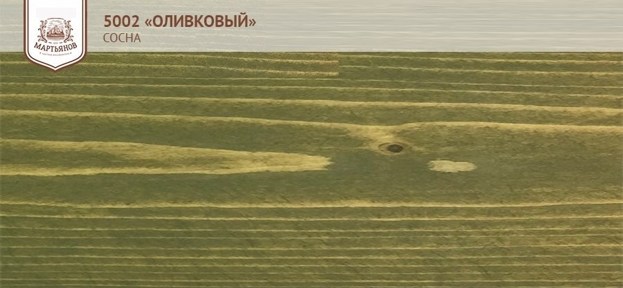 Оливковый на сосне